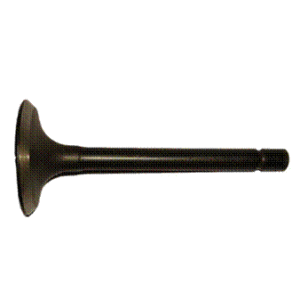 Valve Intake