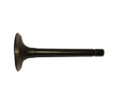 Valve Intake