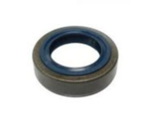Oil Seal