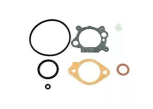 Briggs Carburetor kit