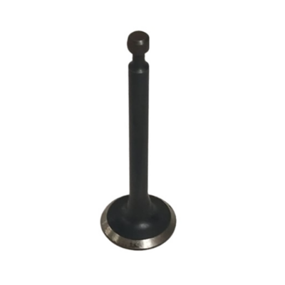 Valve Exhaust