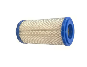 Air Filter Briggs