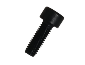 Screw