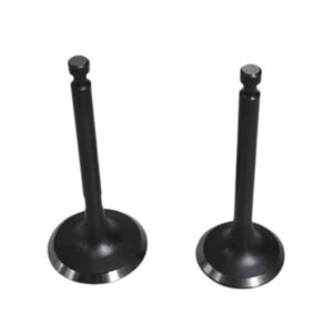 Valve Kit