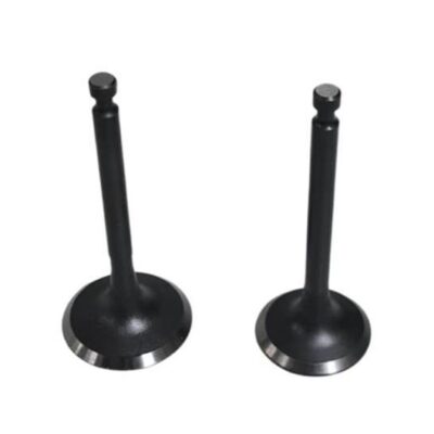 Valve Kit
