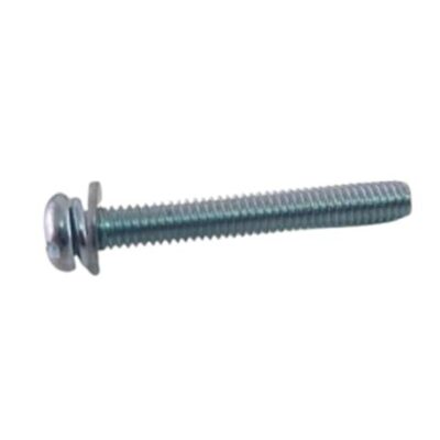 Screw