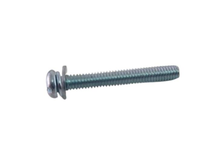Screw
